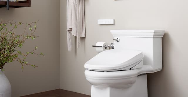 Bidet Seat for a Thoughtful & Luxury Bathroom